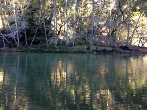San Lorenzo River, I shall miss this place where I fell in love with steelhead.